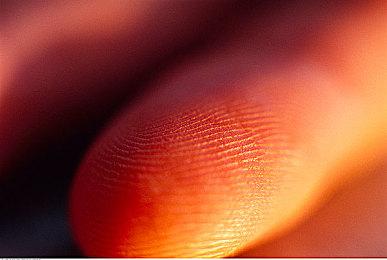 传Game Pass标准版要等6-12个月才能等到第一方新作